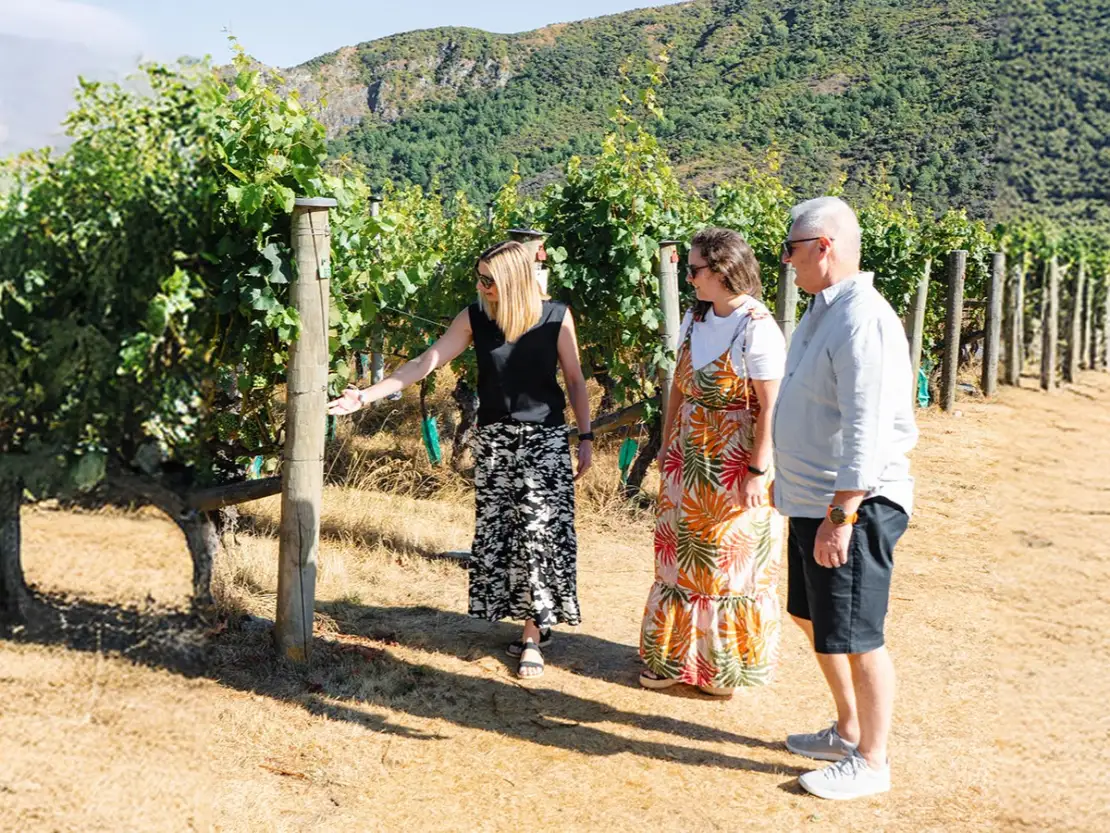 Visit vineyard